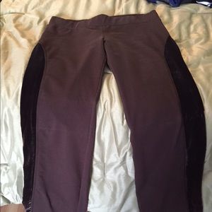 Bebe Sport Pant and Jacket Set