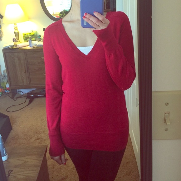 NWT long sleeve v neck sweater