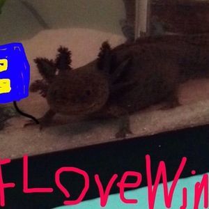 Meet your Posher, Emilyann