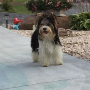 Meet your Posher, Kendra