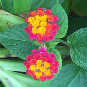 EVERYTHING MUST GO! Make offers(: