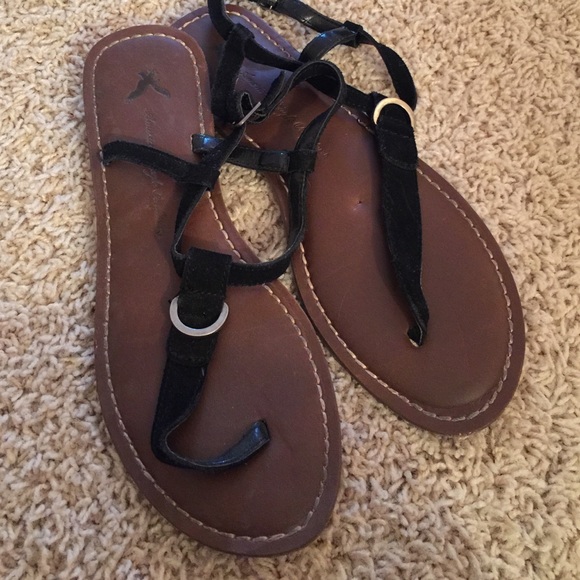 American eagle gladiators