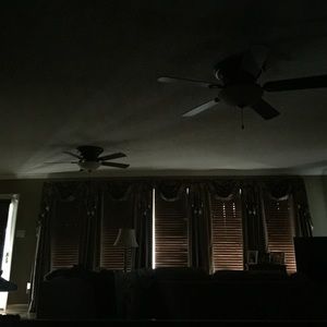 Meet your Posher, Shaun