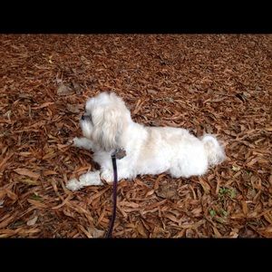 Meet your Posher, Tammy