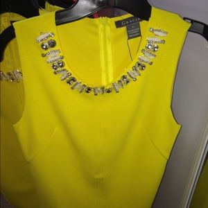 I'm selling a brand-new Gracie a top shirt.