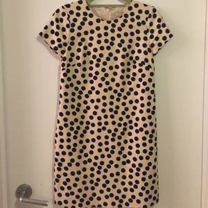 J Crew Shift Dress in Polka Dot