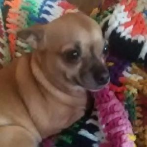 Meet your Posher, Leigh