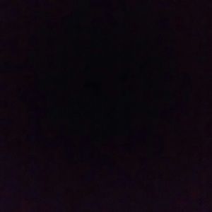 Meet your Posher, Annie