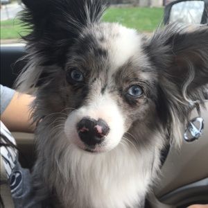 Meet your Posher, Lexi