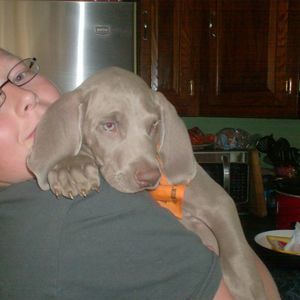 Meet your Posher, Susan