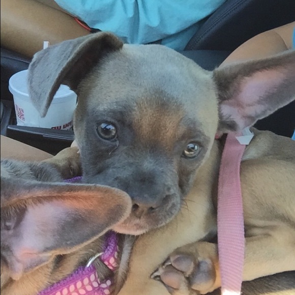 Meet your Posher, Madi