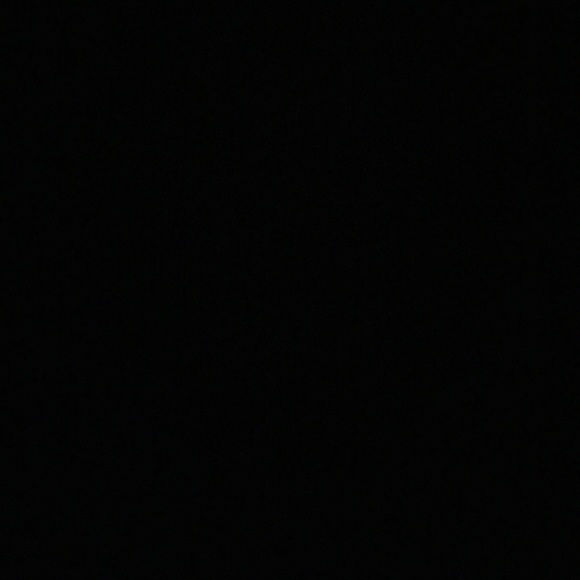 Meet your Posher, Lacey - Picture 1 of 1