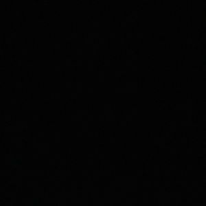 Meet your Posher, Lacey