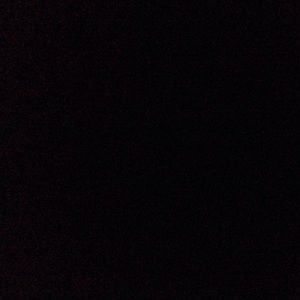 Meet your Posher, Han