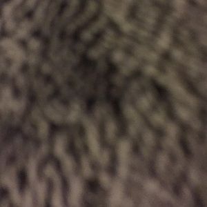 Meet your Posher, Shanice