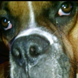 Meet your Posher, Dejay