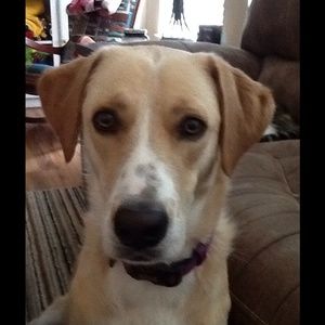 Meet your Posher, Tracie