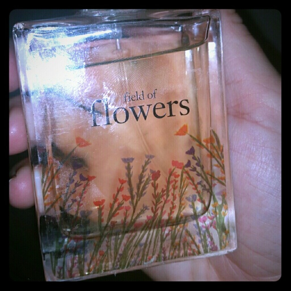Perfume Philosophy field of flowers