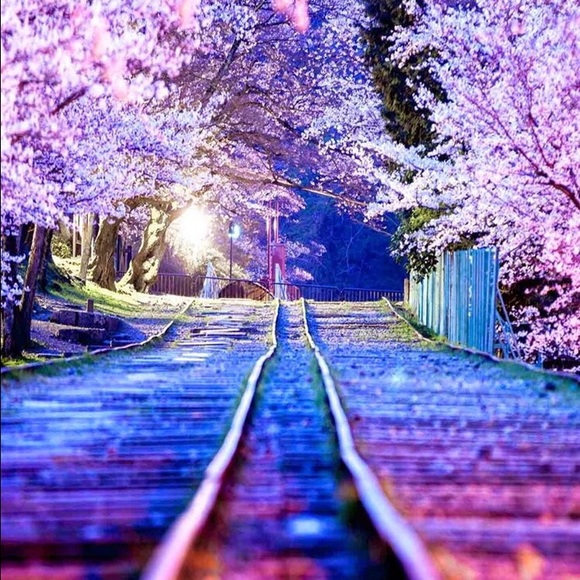 Meet your Posher, Jalyn - Picture 1 of 1