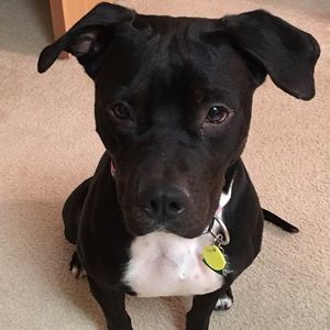 Meet your Posher, Brittney