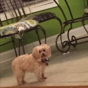 Meet your Posher, Matthew