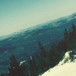 Meet your Posher, Cayman