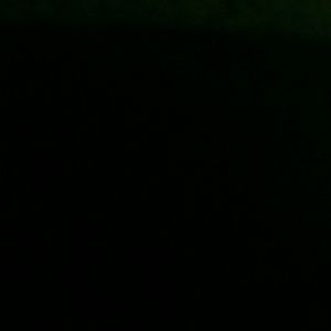 Meet your Posher, Janelle