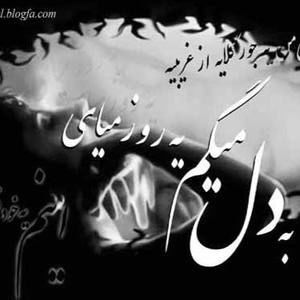 Meet your Posher, Mujahid