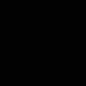 Meet your Posher, Ashlynn