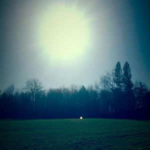 Meet your Posher, Ann