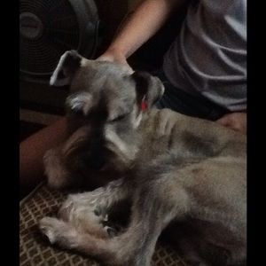 Meet your Posher, Linda