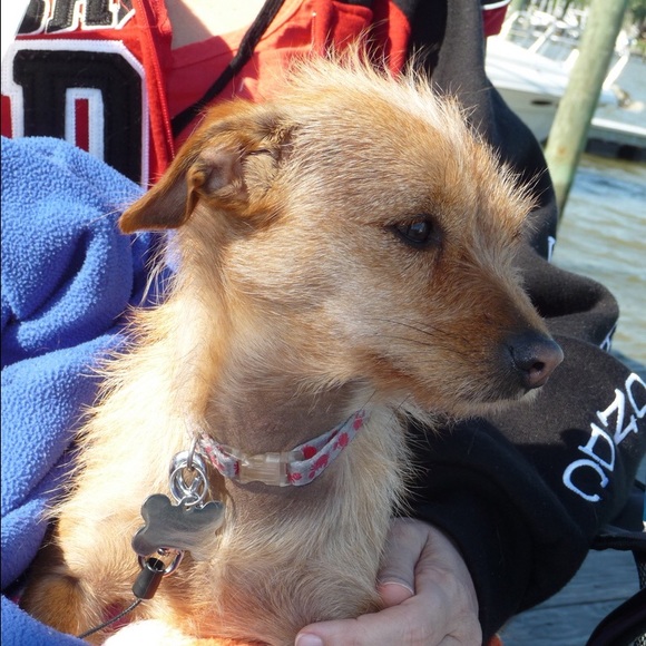 I'm a shopaholic. - Picture 2 of 3