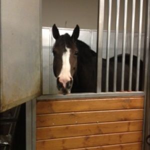 Meet your Posher, Kelley