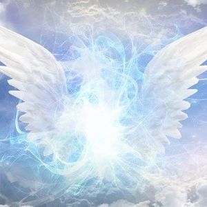 Meet your Posher, Jami