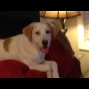 Meet your Posher, Stacy