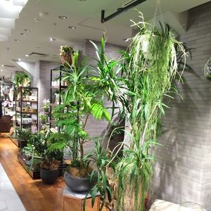 Meet your Posher, Ruby