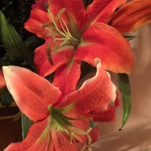 Meet your Posher, Naleen