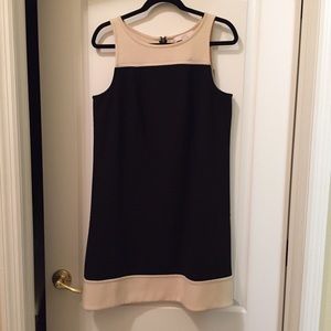Black and cream LOFT dress