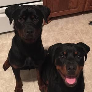 Meet your Posher, Deonna