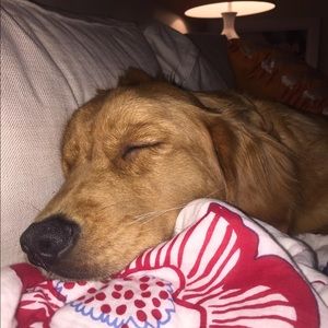 Meet your Posher, Sally