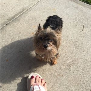 Meet your Posher, Jan