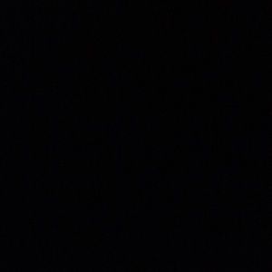 Meet your Posher, Abbey