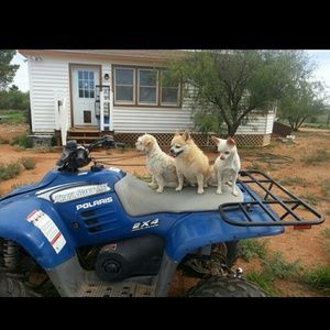 Meet your Posher, Danielle