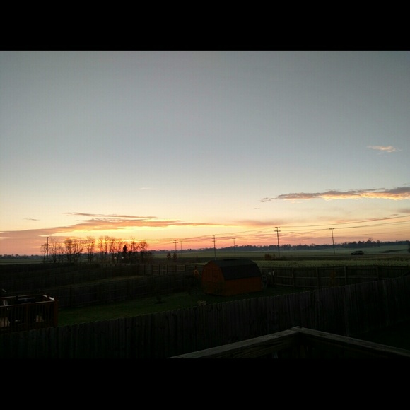 Meet your Posher, Nickolas - Picture 1 of 1