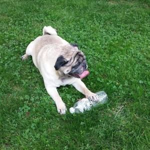 Meet your Posher, Stacey