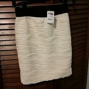 Charlotte Russe skirt