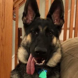 Meet your Posher, Joseph