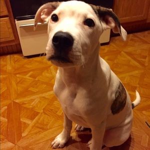 Meet your Posher, Todd