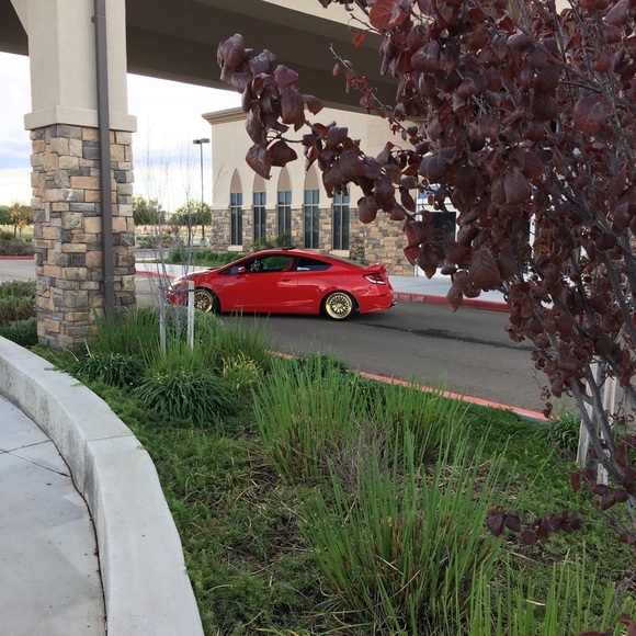 Meet your Posher, Manny - Picture 1 of 1