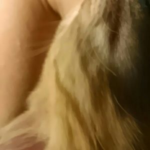 Meet your Posher, Betsy